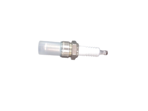lot 6118 image: Automotive Spark Plug with Box