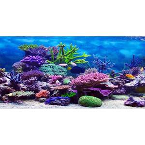 lot 6454 image: AWERT 72x24 inches Vinyl Underwater Theme Aquarium Background Colorful Coral Tropical Fish Undersea World Fish Tank Background