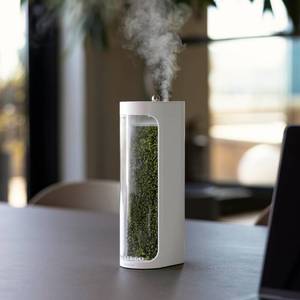 lot 15230 image: Mosslab Moss Air �� Living Moss Terrarium Humidifier  Soothing Mist Fountain & Ambient Light  Zen Desk Decor, Aesthetic Room Decor  Portable & Whisper-Quiet