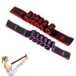 lot 20181 image: 2PCS Fitness Resistance Band for Stretching and Yoga, Number Stretch Resistance Band with Clear Markings, 8-Section Elastic Training Bands for Full Body Stretching Shaping