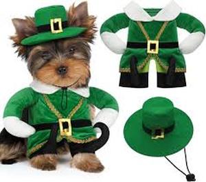 lot 6096 image: Hollowfly Halloween Dog Costume Green elf Outfit size M