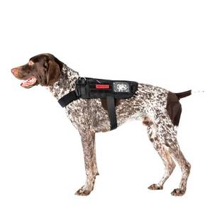 lot 2432 image: OneTigris Service Dog Harness No-Pull Dog Harness Adjustable Comfort Pet Dog Vest Harness for Outdoor Walking