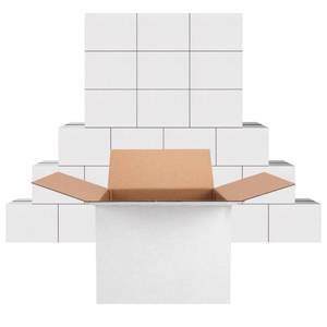 lot 3052 image: PETAFLOP 25 Pack White 8x8x6 Shipping Boxes, Small Cardboard Corrugated Box for Business, Mailing, Mailer, DIY
