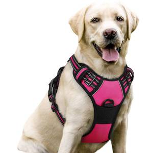 lot 8265 image: rabbitgoo Dog Harness No Pull with 2 Leash Clips, Adjustable Soft Padded, Reflective Oxford No Choke Pet Vest with Easy Control Handle for Large Dogs, Hot Pink, L