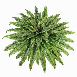 lot 13321 image: zooFernzoom Artificial Ferns for Outdoors and Indoors, 51in Large Fake Ferns Plants, Artificial Boston Fern Faux Greenery for Porch Entrance Home Decor