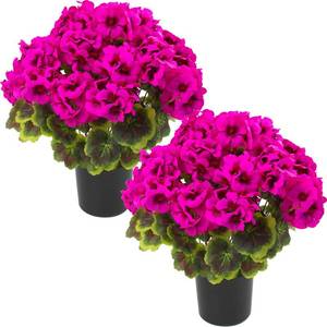 lot 13334 image: lovemoon 2Set Geranium Potted Artificial Flowers,Fake Geranium Plants for Outdoor Home Dcor Office Tables Porch Garden Decor (2, Rose Red)