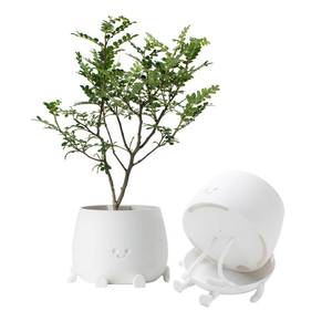 lot 14401 image: TOPOLA Happy Face Planter, 5.2 Inches Plastic Plant Pot, Self Watering Plant Pot with Drainage Holes for Indoor Outdoor, Succulent Pot, Funny Flower Pot, White