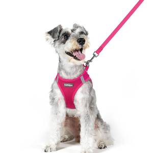 lot 16466 image: rabbitgoo Dog Harness Small Medium Sized and Leash Set, Step in Soft Light Puppy Vest, Breathable Mesh Pet Harness, Reflective for Safe Easy Walking, Rosa Red XL
