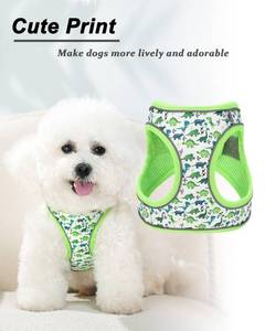 lot 18192 image: JUFOO XXS Green Dinosaur Pattern Dog Harness and Leash Set,No Escape Puppy Harnesses for Training WalkingBreathable Adjustable Puppy Vest for Small Medium Dogs, Cats (Green, XXS)