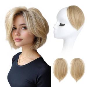 lot 18210 image: REECHO Clip in Hair Volumizer, 2PCS 6 inch Short Thick Clip in Hairpieces Adding Extra Volume Hair Extensions for Women (Medium Blonde)