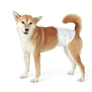 lot 19072 image: Basics Male Dog Wrap  Disposable Diapers  X-Small (8-12  Waist) - Pack of 30