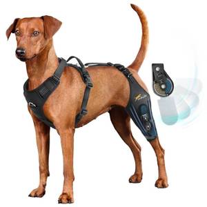 lot 19093 image: Dog Knee Brace for torn acl hind leg with Adjustable Hinge Stabilizer, Dog back brace for Osteoarthritis, Dog leg brace Support for Cruciate Ligament Injury,Recovery After,Patent Pending(Left Leg,XL)