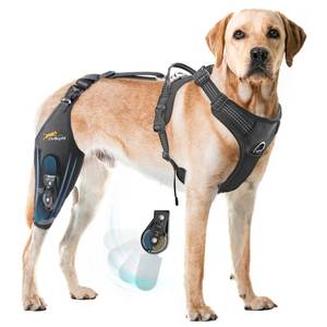 lot 19095 image: Dog Knee Brace for torn acl hind leg with Adjustable Hinge Stabilizer, Dog back brace for Osteoarthritis, Dog leg brace Support for Cruciate Ligament Injury,Recovery After,Patent Pending(Right Leg,L)