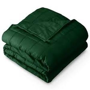 lot 1555 image: Cotton Weighted Blanket with Glass Beads 60x80 Inches Green