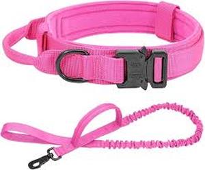 lot 8204 image: Tactical Dog Collar for Walking and Training