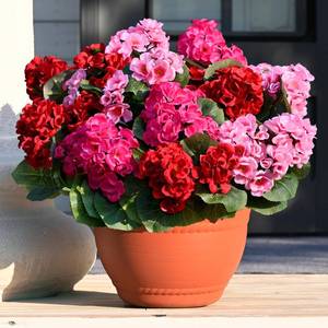 lot 1619 image: Waipfaru 12 Pcs Artificial Fake Flowers for Outdoors, Silk Geraniums Mix Color Flower, UV Resistant Outdoor Faux Plants for Garden Porch Planter Patio Balcony Yard Indoor Home Decoration(6, Mix Color)