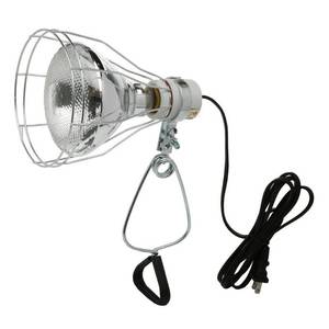 lot 4346 image: Woods 0324 182 Gauge Brooder and 150-Watt Heat Lamp with Wire Grill and Clamp 6-Foot Black