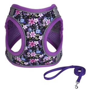 lot 12078 image: KocaPlye Step in Dog Harness No Pull Flower Adjustable Soft Mesh Padded Reflective Pet Vest Harness and Leash Set for Small Medium Dogs