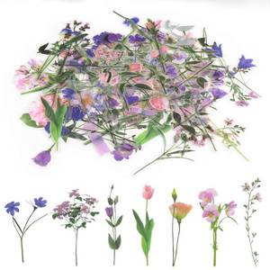 lot 16030 image: 80 Pieces Natural Flower Stickers for Scrapbooking, Self-Adhesive Scrapbooking Stickers Supplies Journal for Adult Card Making Letters DIY (Style A)
