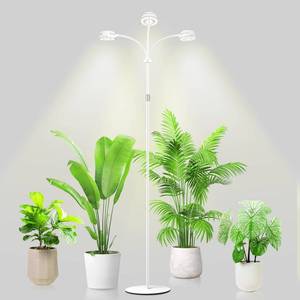 lot 19151 image: LORDEM Full Spectrum Plant Light for Indoor Growing,Tri-Head Grow Light with Stand for Large Plants,Auto ONOff Timer 681216H, 5 Dimmable Levels, 20-70 inches Adjustable Height