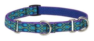lot 20449 image: LupinePet Originals 34 Rain Song 14-20 Martingale Collar for Medium and Larger Dogs