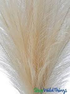 lot 4203 image: Fake Pampas Grass Bundle