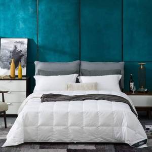 lot 3123 image: Globon Summer Down ComforterBlanket King Size, Lightweight Duvet Insert for Hot Sleepers, Noiseless and Extra Soft Shell, 18OZ, 750 Fill Power, with Ties, Solid White