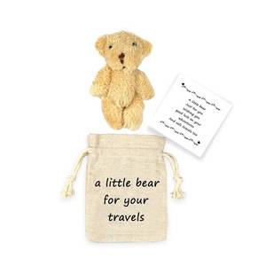 lot 6029 image: LUOKIFUR Pocket Bear Gifts for Travelers, Overseas Travel, Adventure, Good Luck Gifts,Thoughtful Souvenirs (Travels)