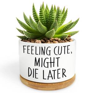lot 6496 image: Bttwkco Funny Succulent Pots, Mini Succulent Planter Pots, Cute Planters for Succulents, Small Ceramic Cactus Pot with Drainage Hole, Plant Lover Gifts - Feeling Cute Might Die Later