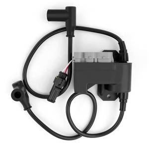 lot 12309 image: CDI BOX Ignition Coil For Lynx Yeti Rave Xtrim 550 For Ski-Doo Scandic Skandic Expedition Grand Touring MX Z Renegade GSX Tundra SWT WT STD SPORT LT 550F 512060324