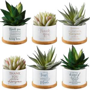 lot 13431 image: Unittype 6 Pcs Administrative Professional Day Gift Ceramic Succulent Mini Planter with Tray Office Desk Decor Employee Appreciation Gift for Social Worker Volunteer Teacher Nurse, Plants Not Included