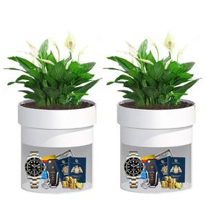 lot 14196 image: Sdstone Fireresistant Waterproof Flower Pot Diversion Safe with key Locks,Stainless Steel Secret Hidden Safe,Perfect for Hiding The Valuables Inside (Black) Plants Not Include 2pack