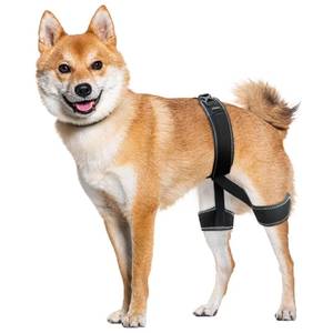 lot 16121 image: CHAMIN Dog Hip Brace � Support Harness for Hip Dysplasia, Joint Pain Relief, Prevents Hip Joint Issues, Orthopedic Support for Dogs(Large)
