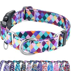 lot 20097 image: Fidohug Reflective Martingale Collar for Dogs with Quick Release Buckle No Pull Training Dog Collars (Colorful Geometric, Large)