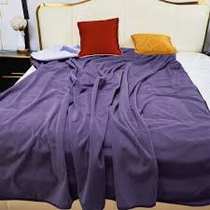 lot 19243 image: Anirahwap Waterproof Blanket 60x80 Deep Purple