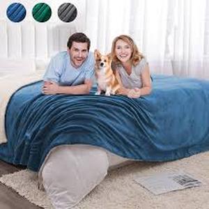 lot 19275 image: Waterproof Blanket 30x40 inch Outdoor Camping