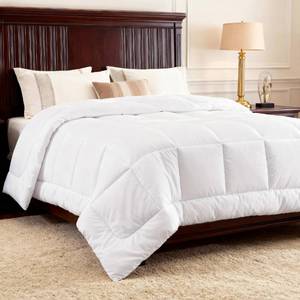 lot 1681 image: Bedsure Comforters Queen Size Duvet Insert, Quilted Down Alternative Comforter, Ultra Soft Lightweight Comforter Blanket for Bed, with 8 Tabs, Machine Washable, 88x88 in, White
