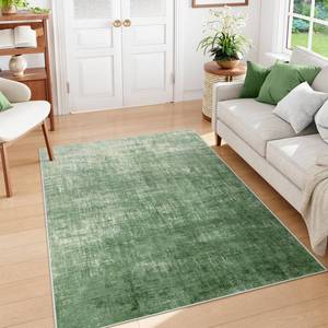lot 1723 image: Lahome Green 5x7 Area Rugs,Boho Washable Living Room Rug Soft Bedroom Rug, Modern Abstract Ombre Non-Slip Low-Pile Throw Carpet for Dining Room Office Entryway(5ftx7ft,Green)