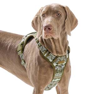 lot 4066 image: No Pull Dog Harness for Large Dogs with 2 Metal Clips, Easy OnOff with Neck Buckle, Heavy Duty Adjustable Puppy Vest, Breathable Pet Harness with Easy Control Handle, Green Ethnic L