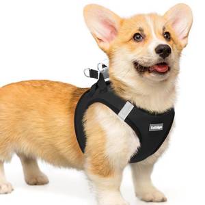 lot 4082 image: rabbitgoo Small Dog Harness, Step-in Soft Mesh Puppy Vest with Safety Buckle, Breathable Reflective Pet Harness for Small Medium Dogs, Black L