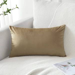 lot 4087 image: Artscope Luxury Velvet Pillow Covers Decorative Rectangle Pillowcases Soft Solid Cushion Cases for Couch Sofa Bedroom Car Decor 16x24 Inch Golden Brown