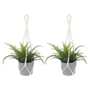 lot 4107 image: 2 PCS Macrame Plant Hanger Indoor Hanging Plant Holder Hand-Woven Cotton Rope Flower Pot Basket with Metal Hook Rings Window Plant Hanger for Outdoor Hanging Pots Home Boho Decor, No Tassels, 23.6in