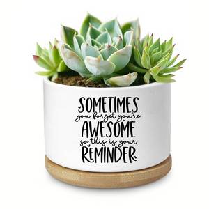 lot 11247 image: Aryabtya Cute Succulent Planter, Flower Cactus Plant Pot Gifts, Going Away Farewell Thank You Inspirational Employee Appreciation Gifts for Women Men Coworkers Boss Lady Manager (No Plants)