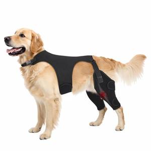 lot 12007 image: Pawfun Dog Knee Brace for Torn ACL Hind Leg- Dog Leg Support Brace with Metal Stabilizers for Torn CCL, Limping, Luxating Patella, Ligament Injuries, Hip Dysplasiaand Arthritis,LandVest3 (Used)