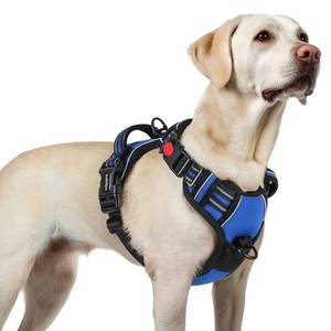 lot 12182 image: rabbitgoo Dog Harness for Large, No Pull Pet Harness with 3 Buckles, Adjustable Soft Padded Vest with Control Handle, Walking Reflective Pet Vest for Large Dogs, Blue, L