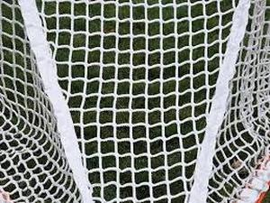 lot 5072 image: White Lacrosse Net with Adjustable Straps
