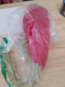 lot 2255 image: Red Fuzzy Fake Plants
