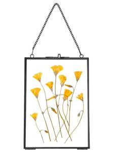 lot 6380 image: REDHUGO Hanging Pressed Flower Frames, Double Glass Floating Picture Frame Handmade, Glass Frame for Pressed Flowers, Vintage Brass Picture Frame for Artwork Wall Display Mount, Black, 5x7 Inches