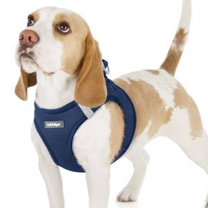 lot 14106 image: rabbitgoo Small Dog Harness, Step-in Soft Mesh Puppy Vest with Safety Buckle, Breathable Reflective Pet Harness for Small Sized Dogs, Navy Blue M