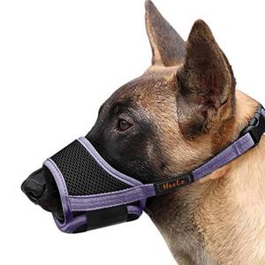 lot 14156 image: HEELE Dog Muzzle,Soft Nylon Muzzle Anti Biting Barking Chewing,Air Mesh Breathable Drinkable Adjustable Loop Pets Muzzle for Small Medium Large Dogs (Purple, S)